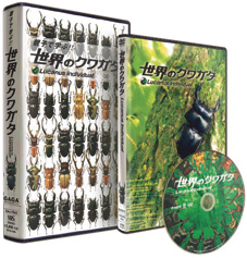 世界のクワガタ/DVD